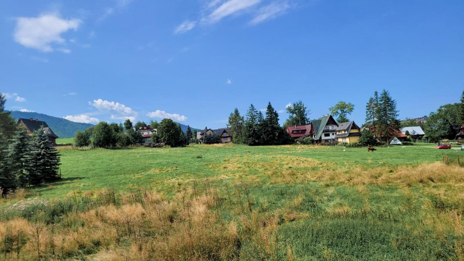 Visitzakopane- Sekwoja Apartment Dış mekan fotoğraf